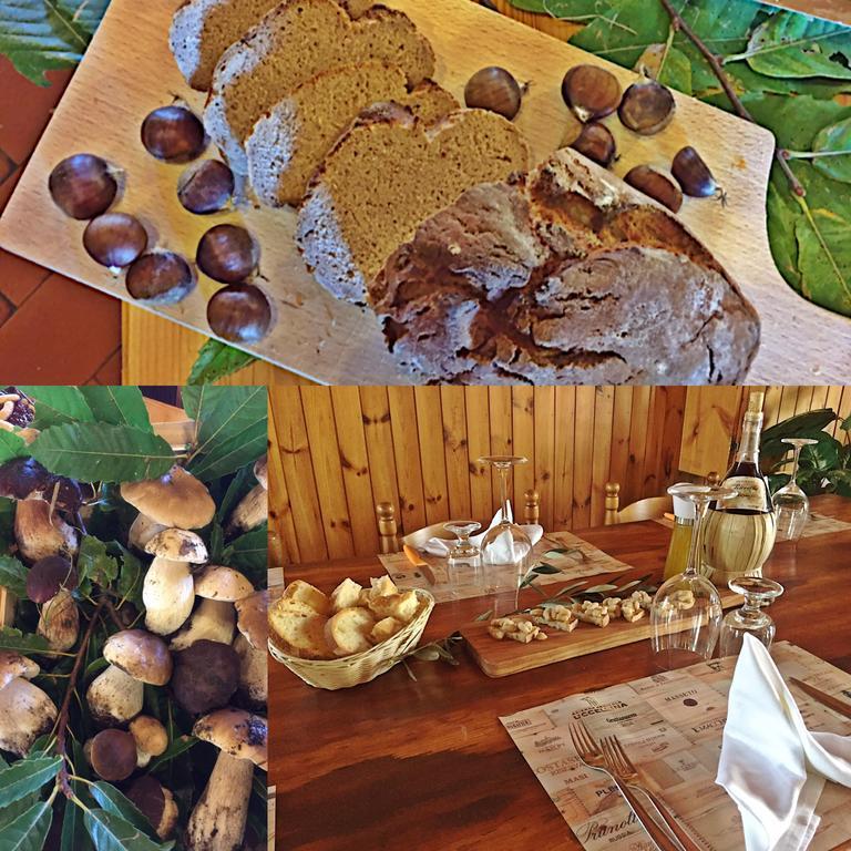 Vila Agriturismo Bicocchi Piteglio Exteriér fotografie